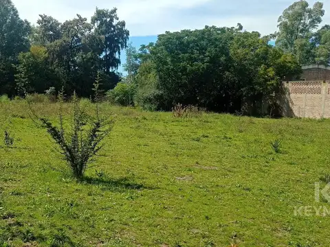 JOSE TOMAS GUIDO al 1650