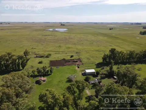 CAMPO GANADERO EN VENTA DE 1420 HAS - SOBRE RUTA 3  - CACHARI, AZUL