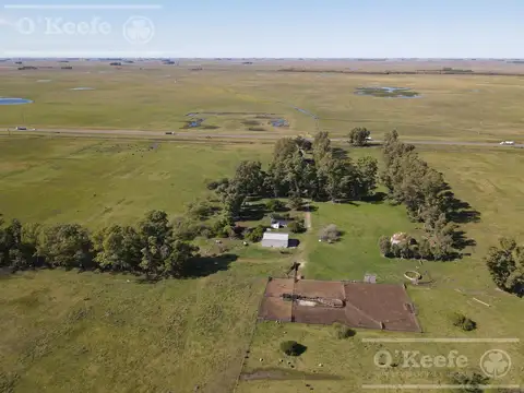 CAMPO GANADERO EN VENTA DE 1420 HAS - SOBRE RUTA 3  - CACHARI, AZUL