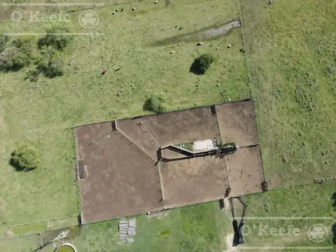 CAMPO GANADERO EN VENTA DE 1420 HAS - SOBRE RUTA 3  - CACHARI, AZUL