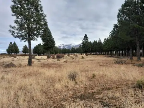 Terreno en Venta en Buenos Aires Chico, USD 70.000