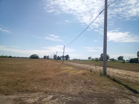 Las Dalias y Potosí