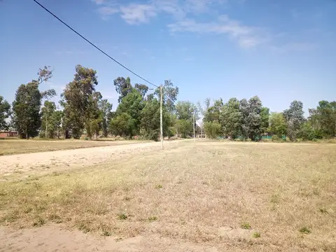 Las Dalias y Potosí