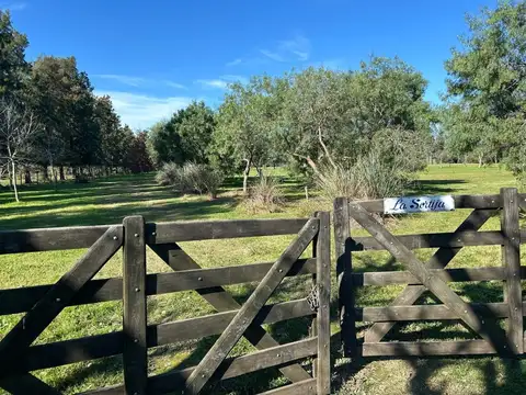 Quinta en Venta en Puerto Panal, USD 450.000