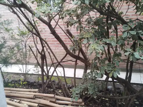 Casa en Venta 35 años