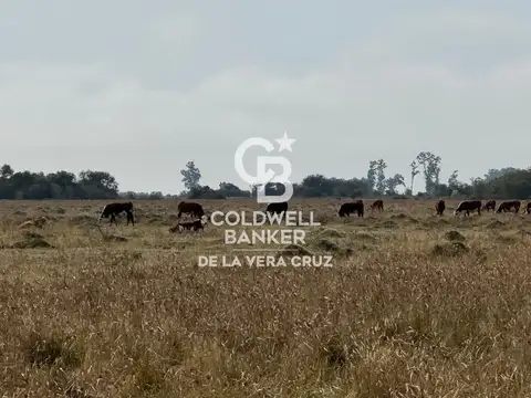 Campo en San Cristobal