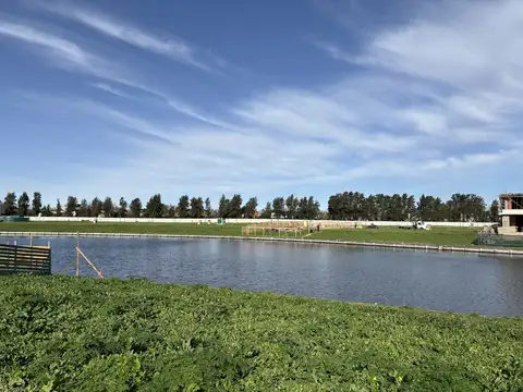 Avenida del Golf