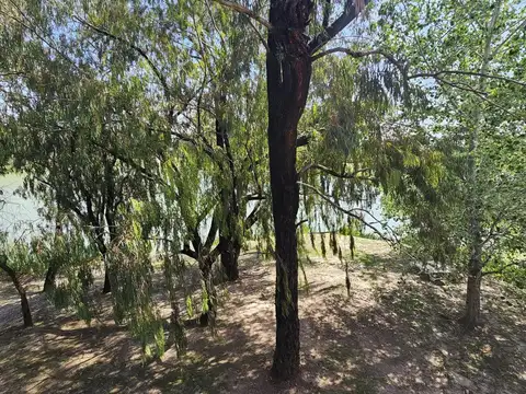 Casa en Alquiler de 4 dormitorios