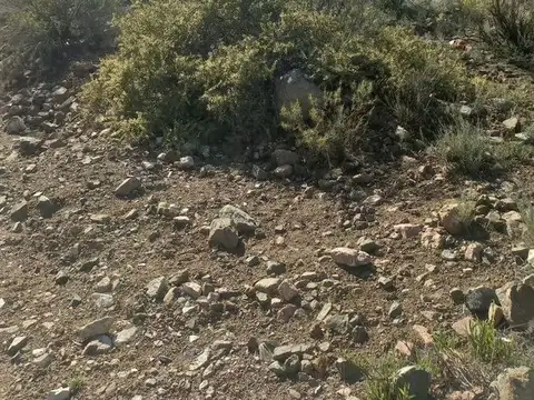 Ruta Panamericana