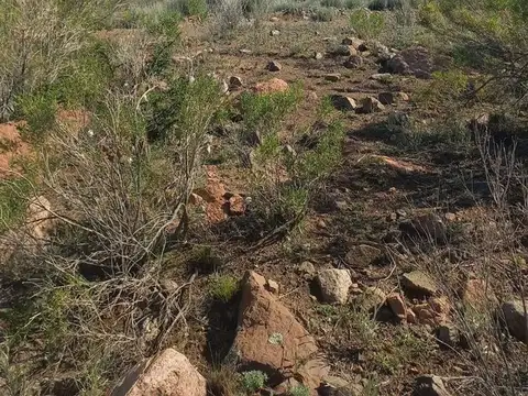 VENTA LOTE LA CRUCESITA MENDOZA