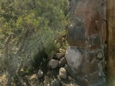 VENTA LOTE LA CRUCESITA MENDOZA