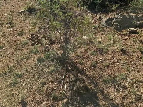Terreno en Venta de 2170,0 m2