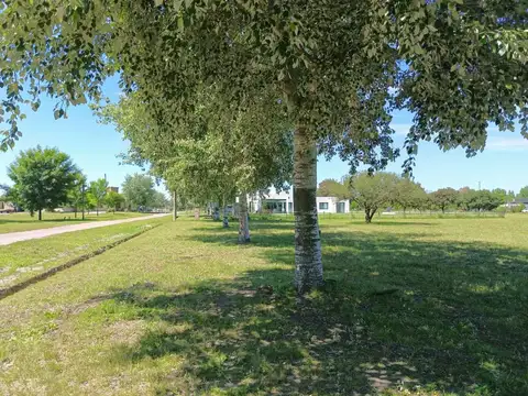 Lote en Fincas de San Vicente