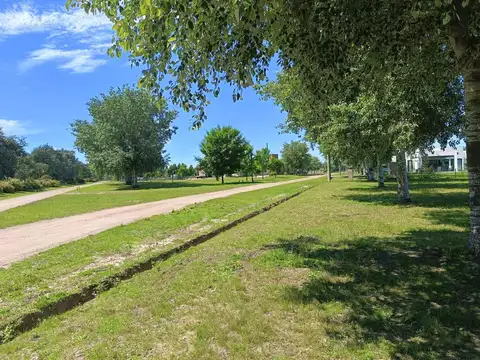 Terreno en Venta en Fincas de San Vicente, USD 19.000