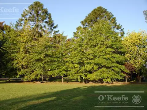 Terreno en Venta de 1000,0 m2