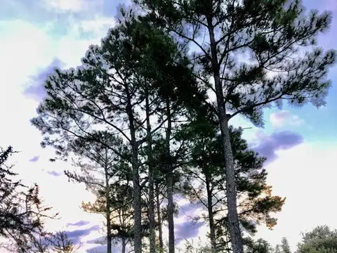 Venta Chacra de 11.805m2  - Villa Del Dique, Valle de Calamuchita