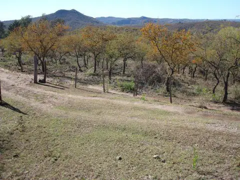 Venta Chacra de 11.805m2  - Villa Del Dique, Valle de Calamuchita