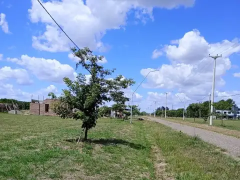 Los Molinos