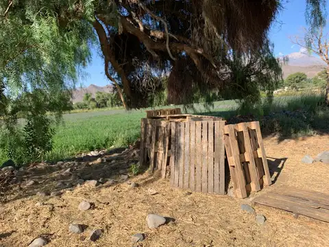 12  hectareas  en  venta  Cachi Salta