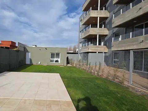 araoz 100
