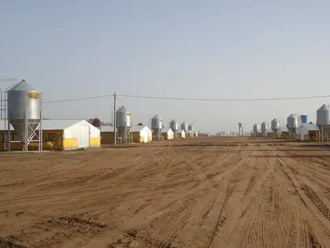 Acceso Ruta 30 - Granja La Carmencita