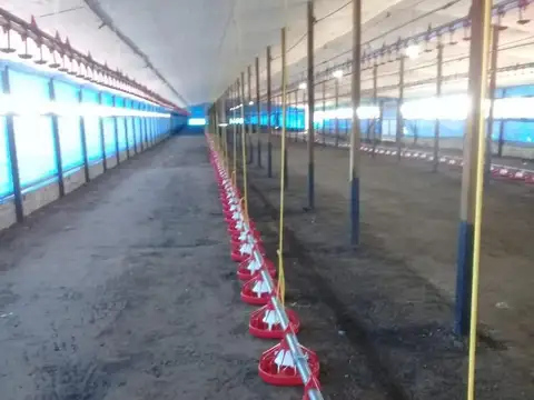 Acceso Ruta 30 - Granja La Carmencita
