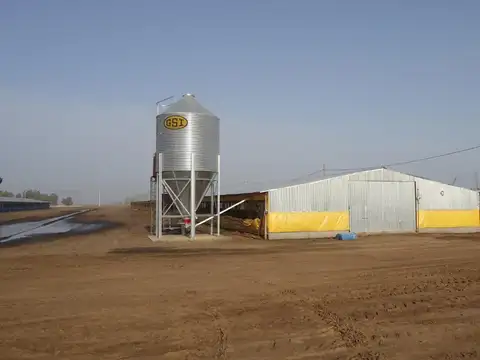 Campo en venta - 250.000Mts2 - Granja La Carmencita