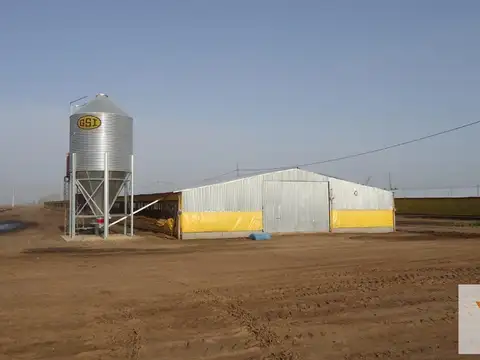 Campo en venta - 250.000Mts2 - Granja La Carmencita
