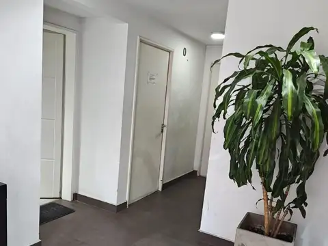Sáenz 100