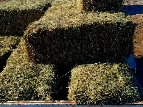 San martin y de los correa