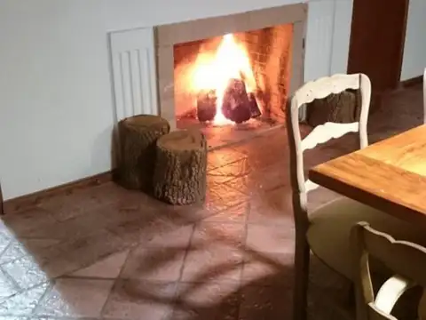 19 Hectáreas en venta en Lezama