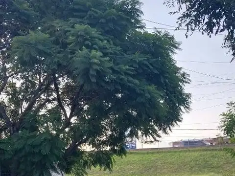 Brasil 900, Piso 2°