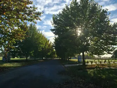 Terreno en Venta de 2004,0 m2