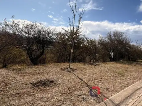 Terreno en Venta en Estancia El Terron, USD 173.000