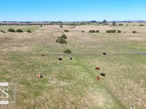 Venta de campo 26 ha Maldonado, Uruguay.