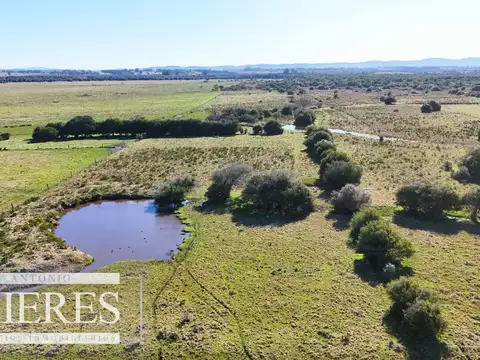 Venta de campo 26 ha Maldonado, Uruguay.