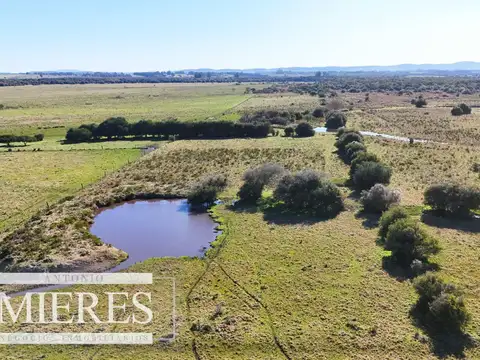 Venta de campo 26 ha Maldonado, Uruguay.