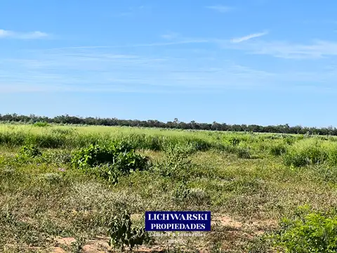 24°31'05.3"S 60°52'05.9"W