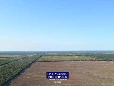 VENTA CAMPO AGRÍCOLA DE 6.000 HECTÁREAS | US$2.500/HA. | Juan G. Bazán, Formosa.