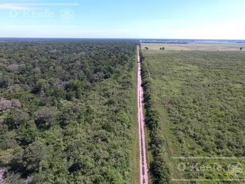Campo en venta 46.000 Has Agrícola Ganadero y Forestal. Gran Unidad de campo para desarrollar!