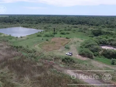 Campo en venta 46.000 Has Agrícola Ganadero y Forestal. Gran Unidad de campo para desarrollar!