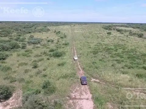 Formosa: Importantes  Inversores . Gran extensión   Agrícola Ganadero y Forestal.  campo para desarrollar!