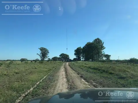 Formosa: Importantes  Inversores . Gran extensión   Agrícola Ganadero y Forestal.  campo para desarrollar!