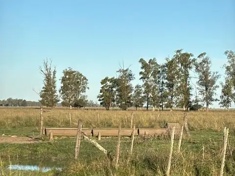 Au Rn 9 Las Bahamas