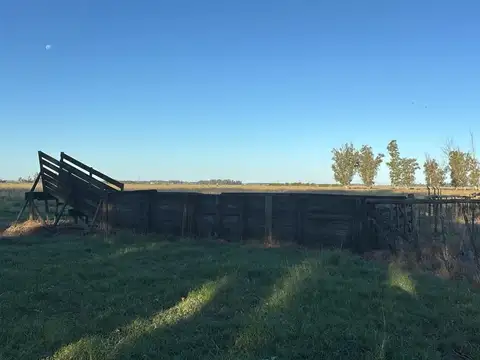 Campo en Venta de 155  ha