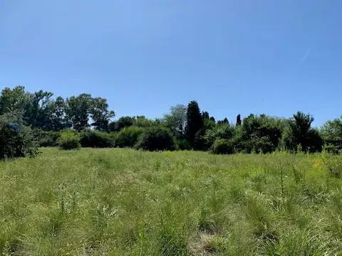 Chacra - Los Cardales