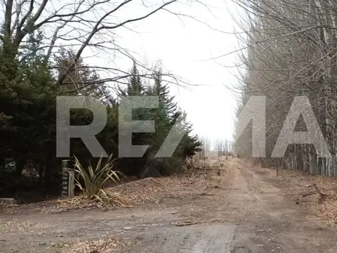 VENTA DE HECTAREAS - FRENTE RUTA 7 - VISTA ALEGRE