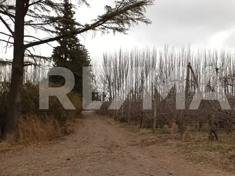 Terreno en Venta en Vista Alegre Norte, USD 660.000