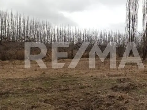 Terreno en Venta de 32890,0 m2