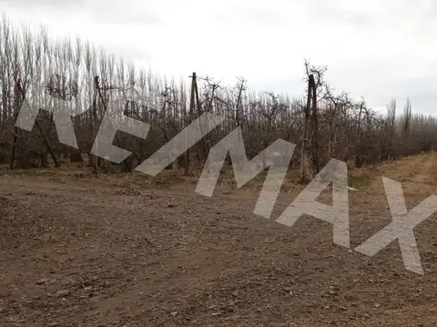 Ruta Provincial 7